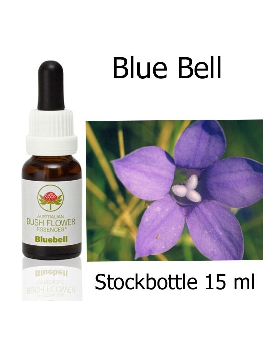 Australian Bush Flower Essences Fiori Australiani Bluebell Stockbottle