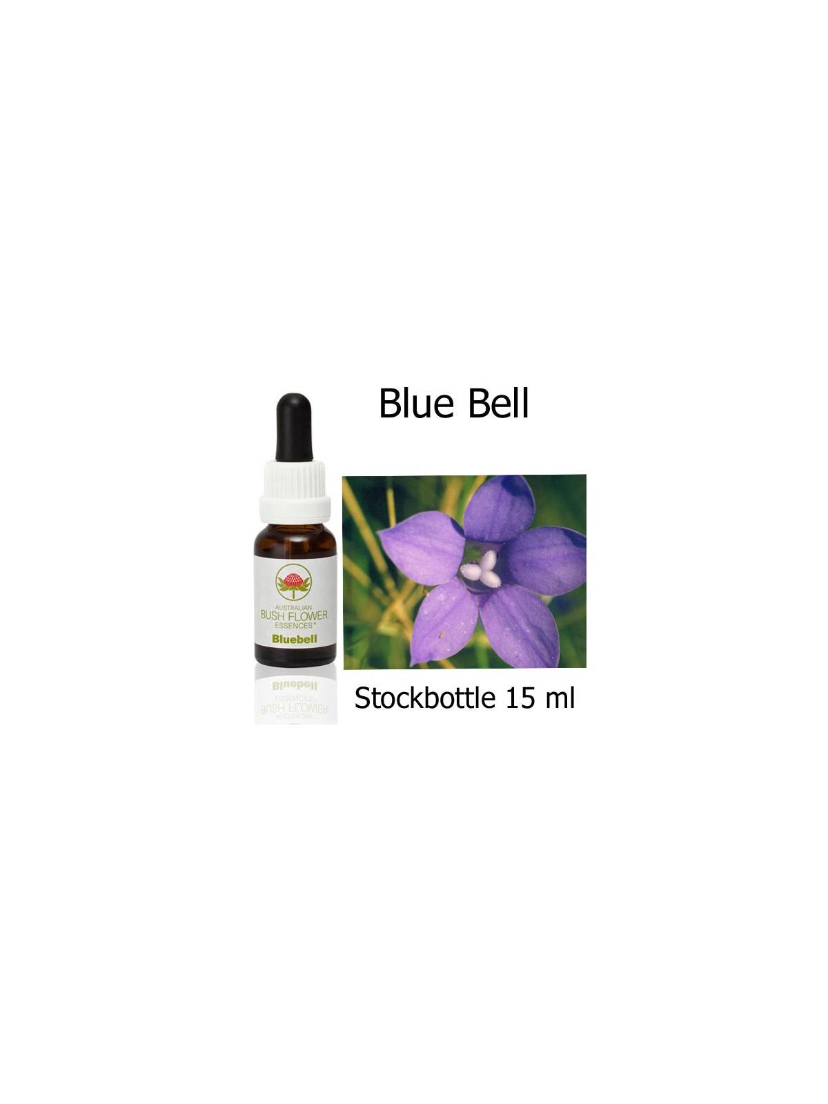 Australian Bush Flower Essences Fiori Australiani Bluebell Stockbottle