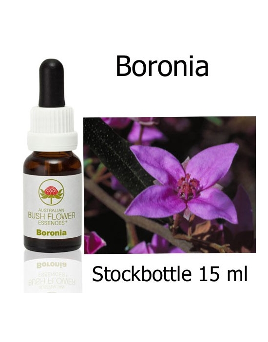 Boronia Australian Bush Flower Essences stockbottle