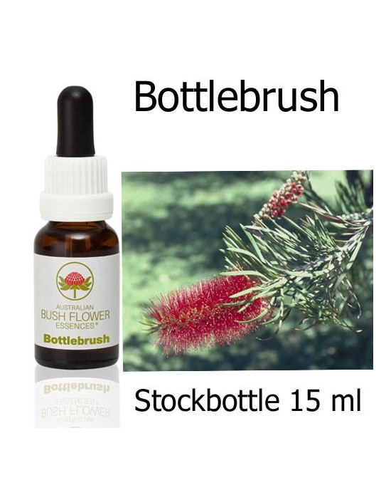 Australische Buschblüten Bottlebrush Stockbottles Australian Bush Flower Essences