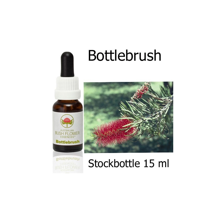 Bottlebrush Australian Bush Flower Essences stockbottles