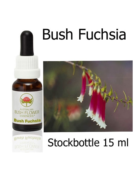 Australische Buschblüten Bush Fuchsia Stockbottles Australian Bush Flower Essences