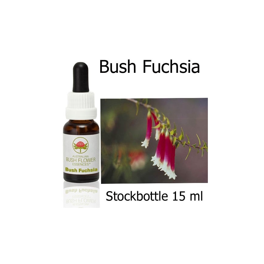 Australische Buschblüten Bush Fuchsia Stockbottles Australian Bush Flower Essences