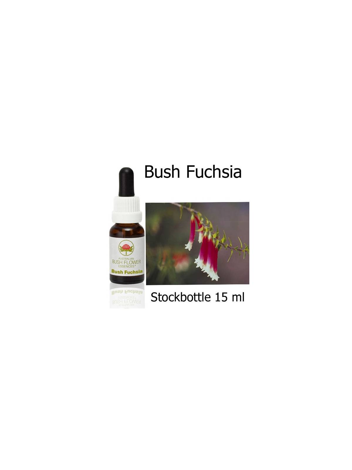 BUSH FUCHSIA Australian Bush Flower Essences Fiori Australiani