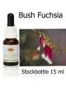 Bush Fuchsia Australian Bush Flower Essences