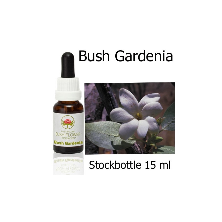 Australische Buschblüten Bush Gardenia Stockbottles Australian Bush Flower Essences