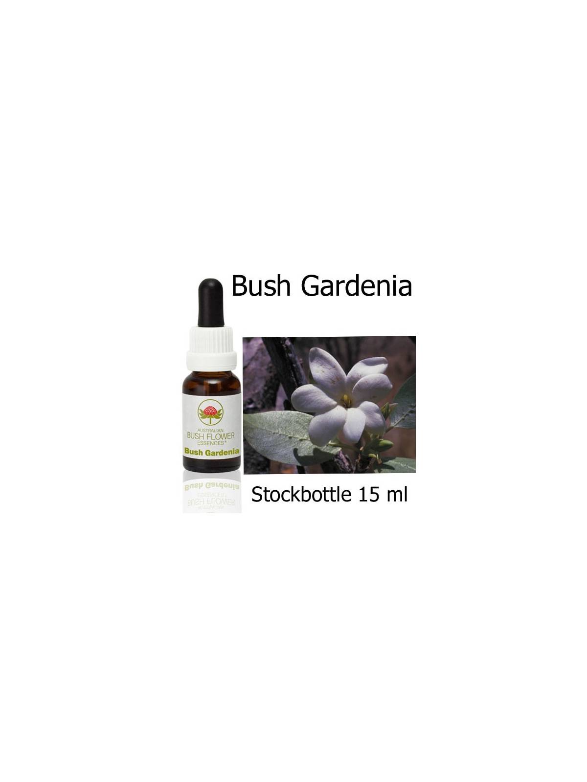 BUSH GARDENIA Australian Bush Flower Essences Fiori Australiani