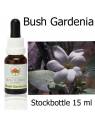 Australische Buschblüten Bush Gardenia Stockbottles Australian Bush Flower Essences