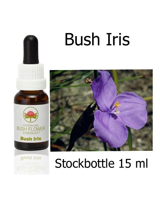 Australische Buschblüten Bush Iris Stockbottles Australian Bush Flower Essences