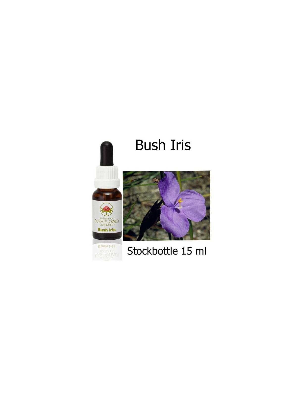 Australische Buschblüten Bush Iris Stockbottles Australian Bush Flower Essences