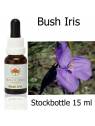 Bush Iris Australian Bush Flower Essences stockbottle