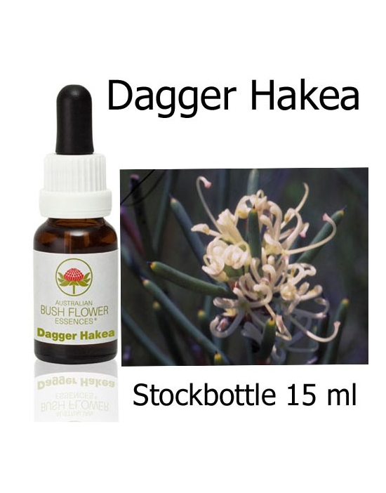 DAGGER HAKEA Australian Bush Flower Essences Fiori Australiani