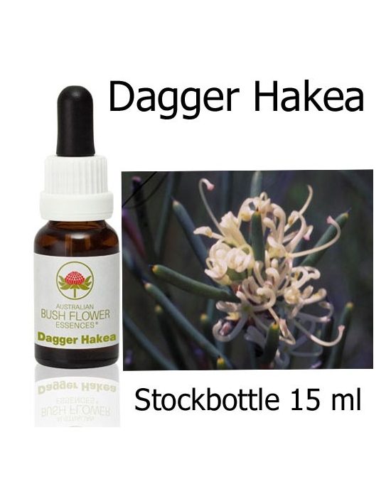 Dagger Hakea Australian Bush Flower Essences stockbottles