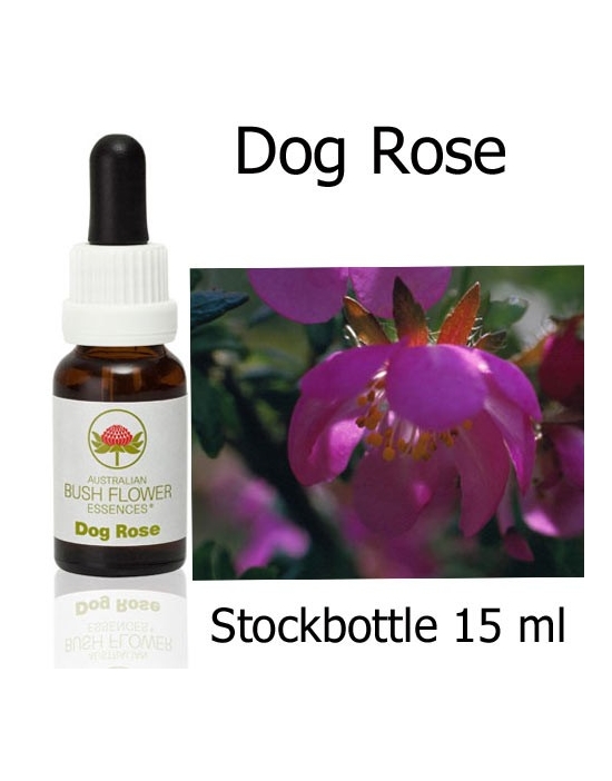 Australische Buschblüten Dog Rose Stockbottles Australian Bush Flower Essences