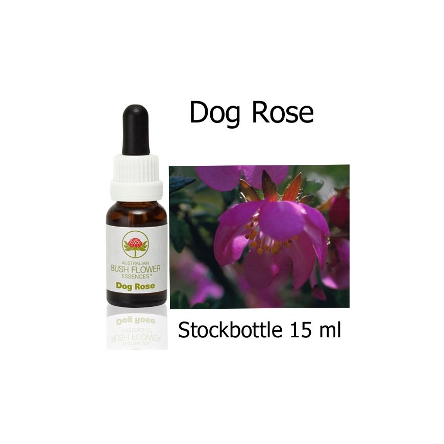 Australian Bush Flower Essences Fiori Australiani Dog Rose Stockbottles