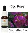 Australische Buschblüten Dog Rose Stockbottles Australian Bush Flower Essences