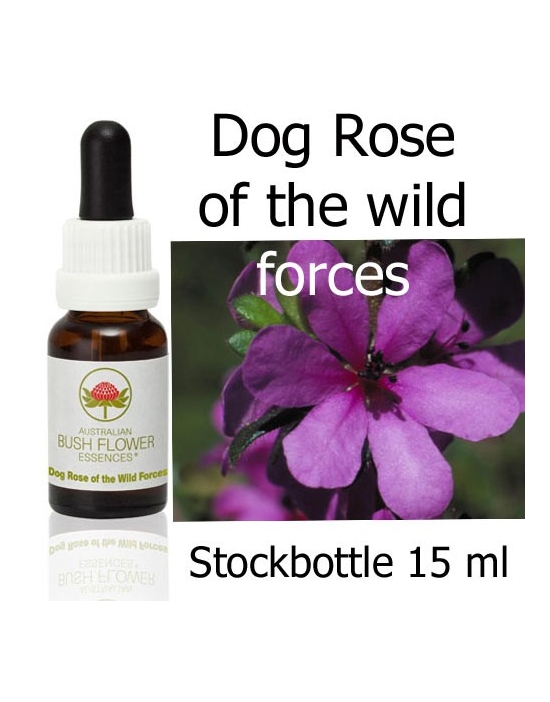 Dog rose of the wild forces Australian Bush Flower Essences stockbottles