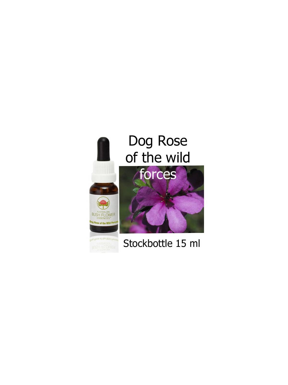 Australische Buschblüten Dog rose of the wild forces Stockbottles Australian Bush Flower Essences