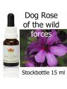 Australische Buschblüten Dog rose of the wild forces Stockbottles Australian Bush Flower Essences