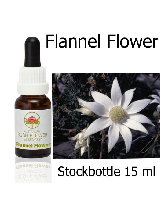 Flannel Flower Australian Bush Flower Essences Stockbottles