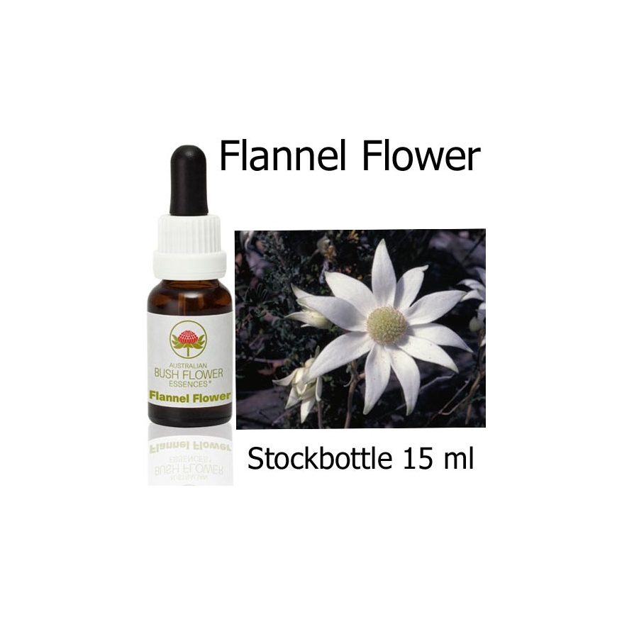 Flannel Flower Australian Bush Flower Essences Stockbottles