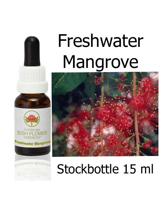 Australische Buschblüten Freshwater Mangrove Stockbottles