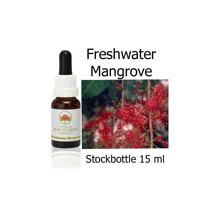 Freshwater Mangrove Australian Bush Flower Essences stockbottle