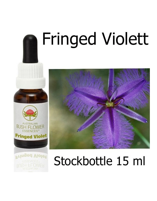 Fringed Violett Australian Bush Flower Essences stockbottles