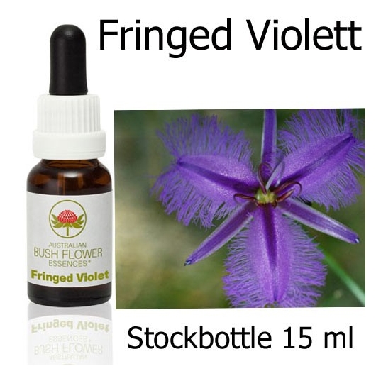 Udrydde session flydende Fringed Violett Australian Bush Flower Essences by Ian White