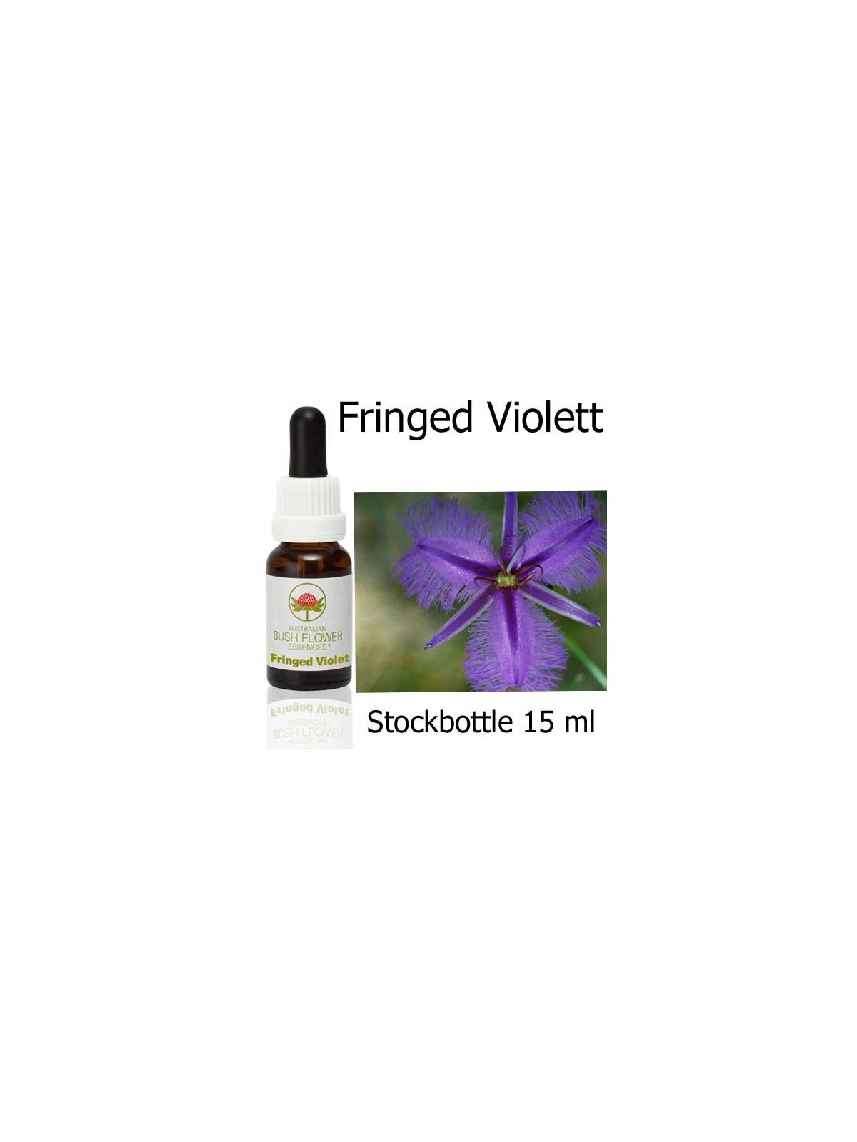 Australische Buschblüten Fringed Violett Stockbottles