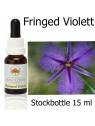 Fringed Violett Australian Bush Flower Essences stockbottles