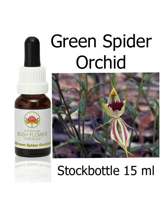 Green Spider Orchid Australian Bush Flower Essences stockbottles