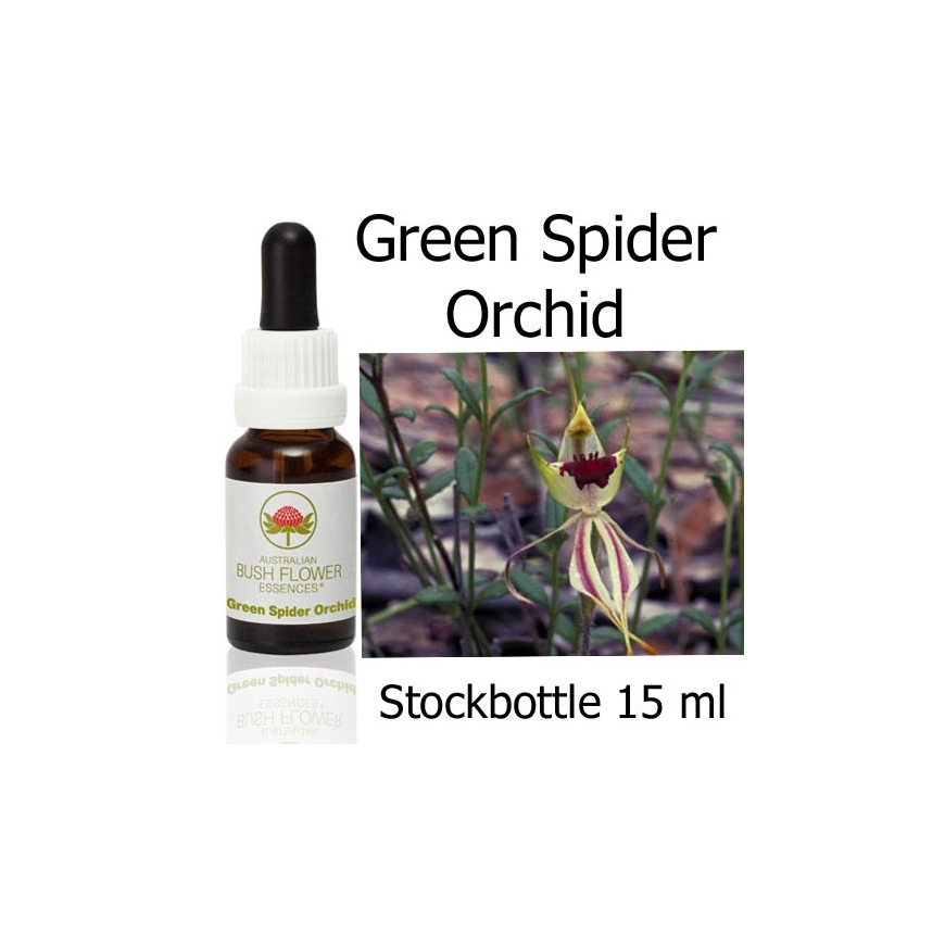 Australische Buschblüten Green Spider Orchid Stockbottles Australian Bush Flower Essences