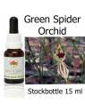 Green Spider Orchid Australian Bush Flower Essences stockbottles