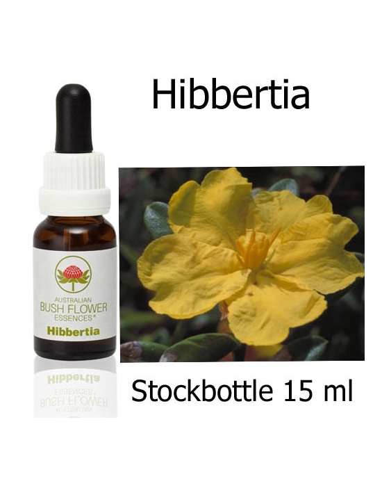 Hibbertia Australian Bush Flower Essences stockbottles