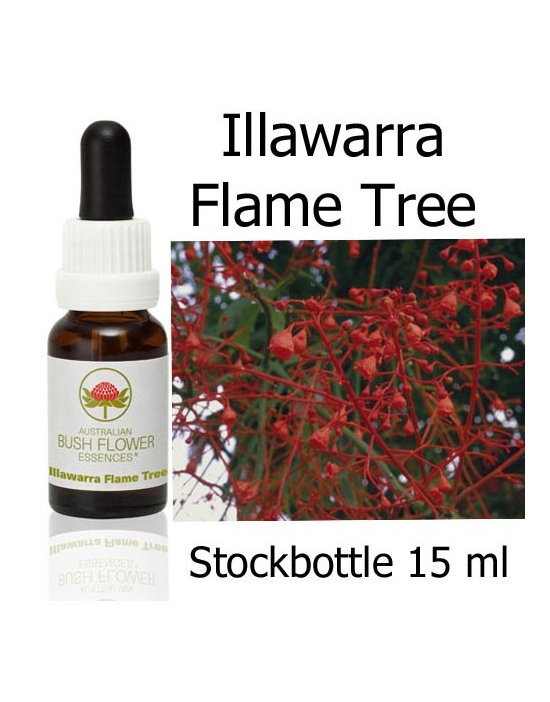 Illawarra Flame Tree Australian Bush Flower Essences stockbottles