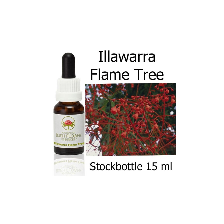 Australische Buschblüten Illawarra Flame Tree Stockbottles Australian Bush Flower Essences