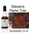 Illawarra Flame Tree Australian Bush Flower Essences stockbottles