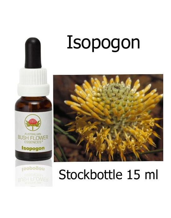 Isopogon Australian Bush Flower Essences stockbottles