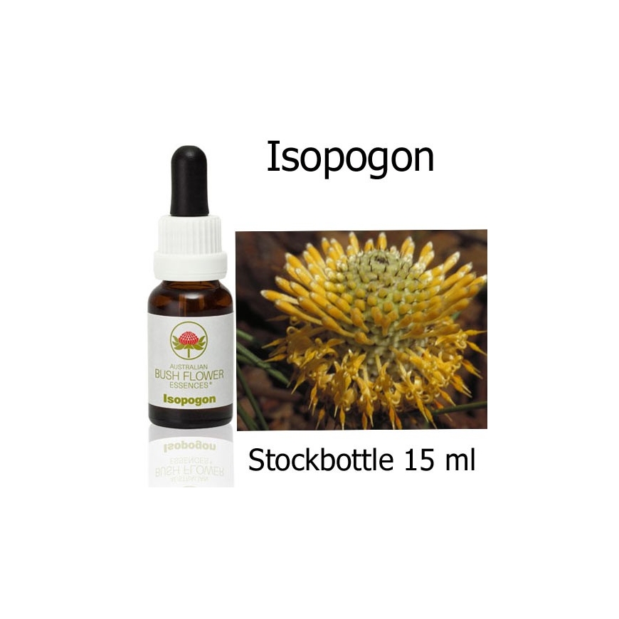 Isopogon Australian Bush Flower Essences stockbottles
