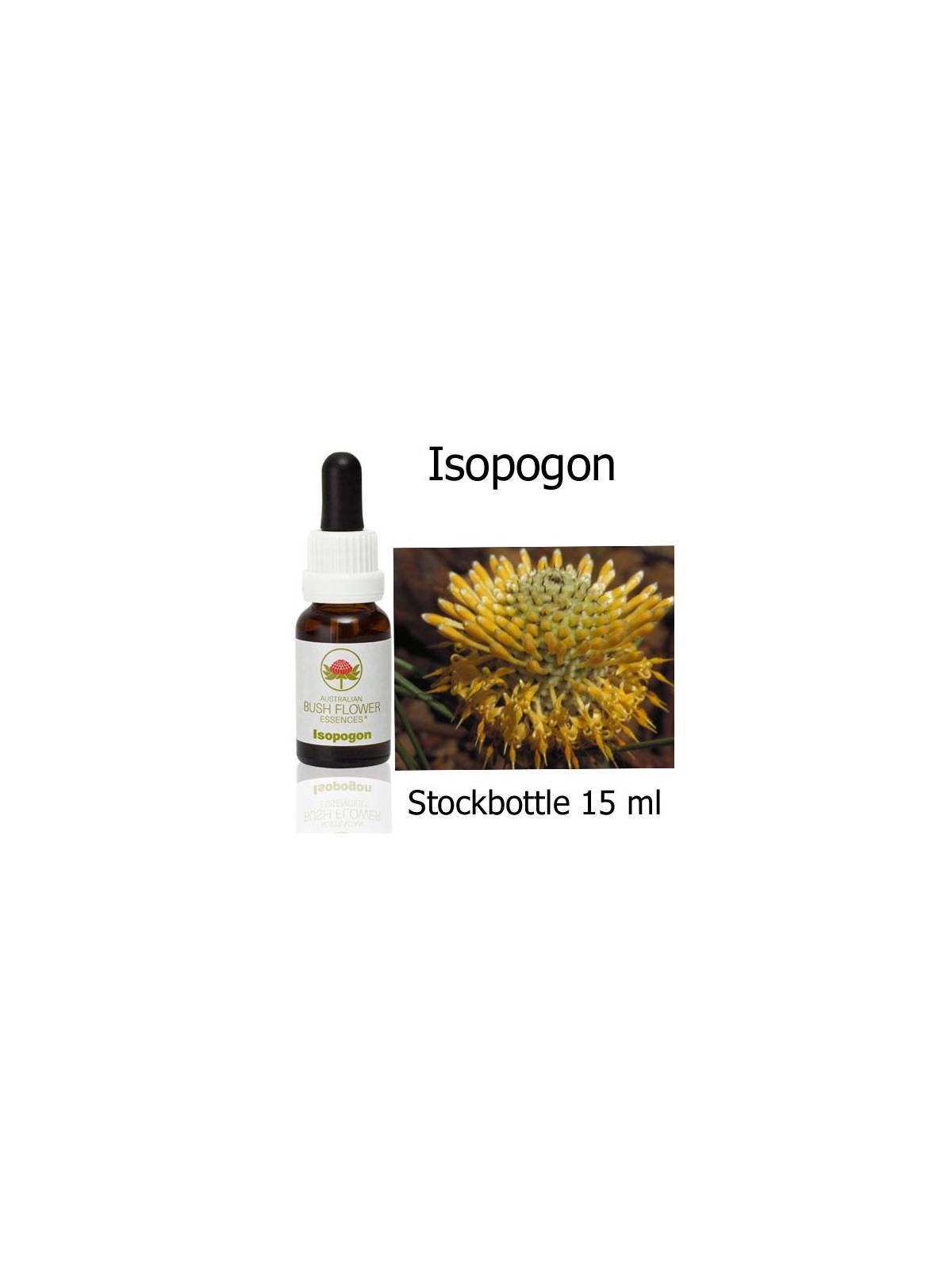 Isopogon Australian Bush Flower Essences stockbottles