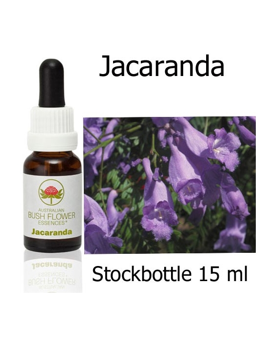 Australische Buschblüten Jacaranda Stockbottles Australian Bush Flower Essences