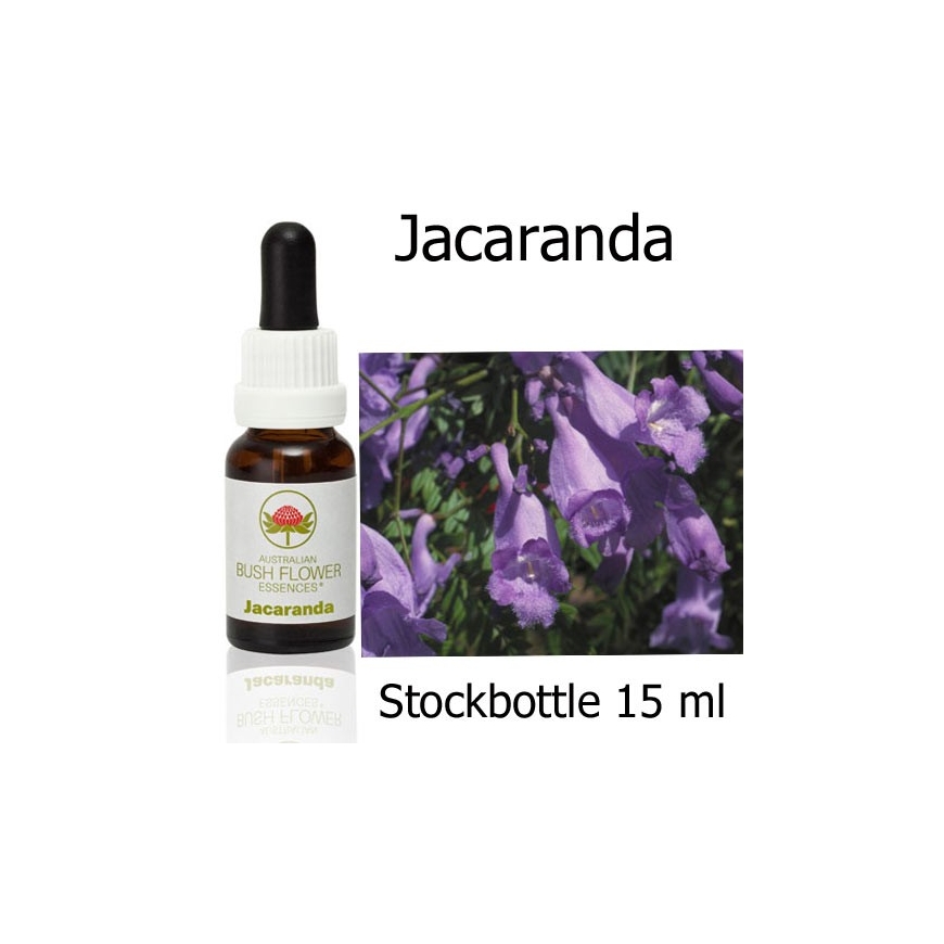 JACARANDA Australian Bush Flower Essences  Stockbottles 15 ml Fiori Australiani