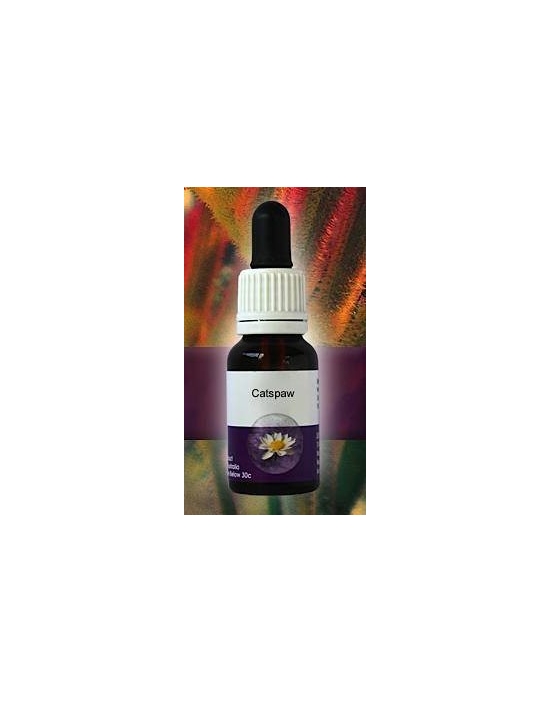 Catspaw Living Essences Stockbottle 15 ml Fiori Australiani