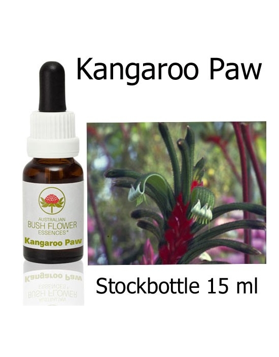 Fiori Australiani Stockbottle Kangaroo Paw Australian Bush Flower Essences