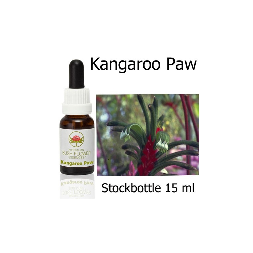 Australische Buschblüten Stockbottles Kangaroo Paw Australian Bush Flower Essences
