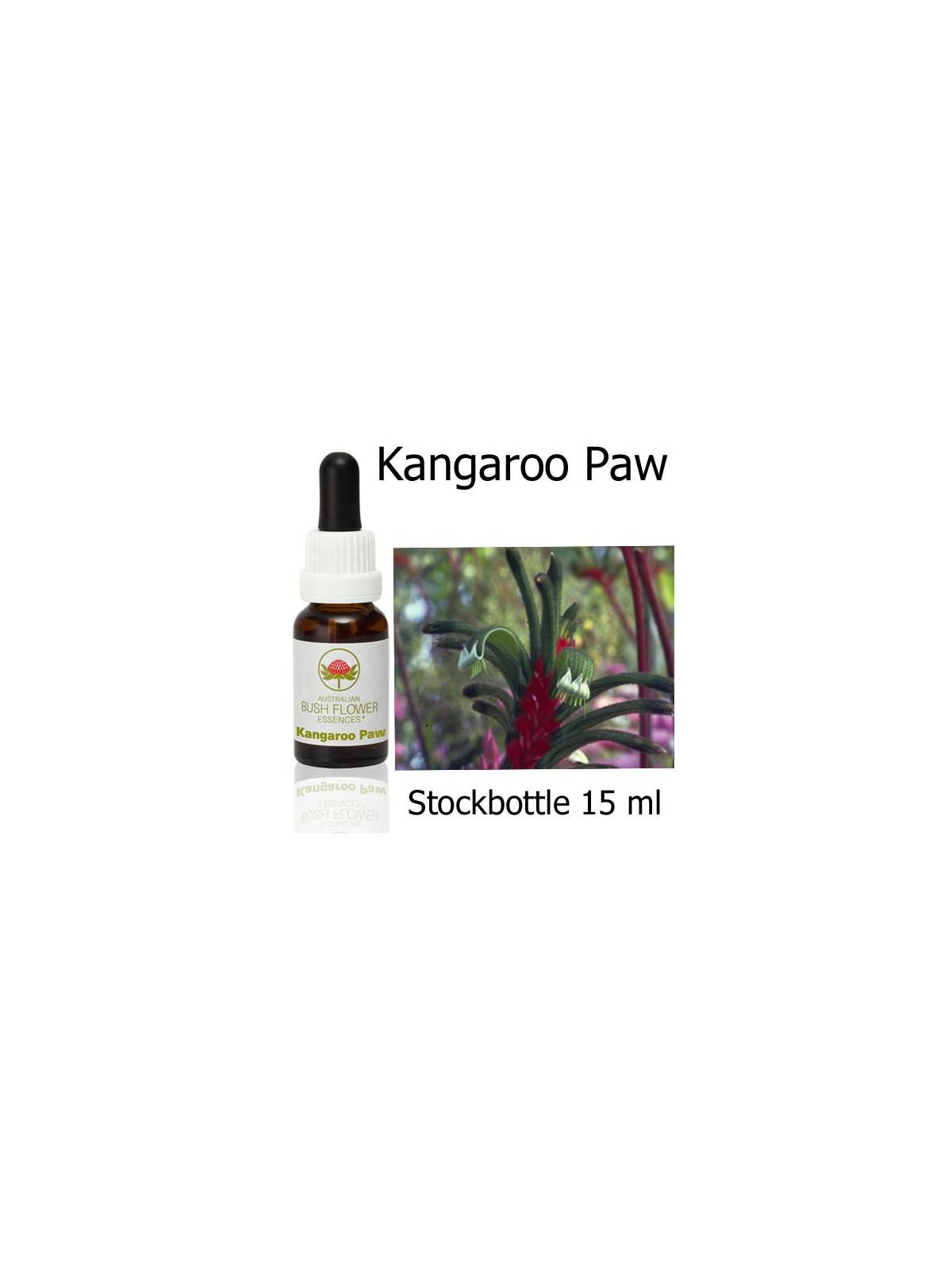 Kangaroo Paw Australian Bush Flower Essences stockbottles