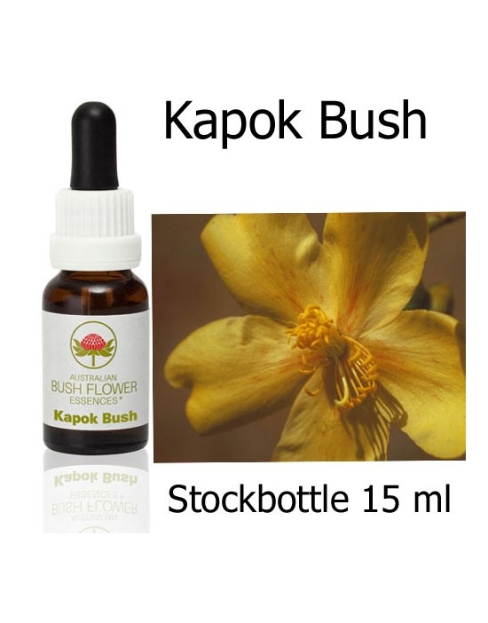 Kapok Bush Australian Bush Flower Essences stockbottles