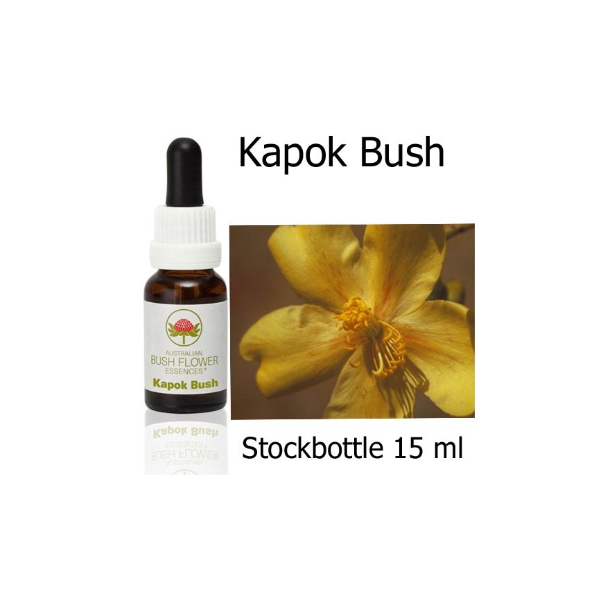 Fiori Australiani Stockbottles Kapok Bush Australian Bush Flower Essences