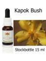 Fiori Australiani Stockbottles Kapok Bush Australian Bush Flower Essences